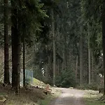 Panorama 3*