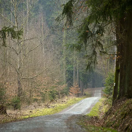 パノラマ ホテル 3*