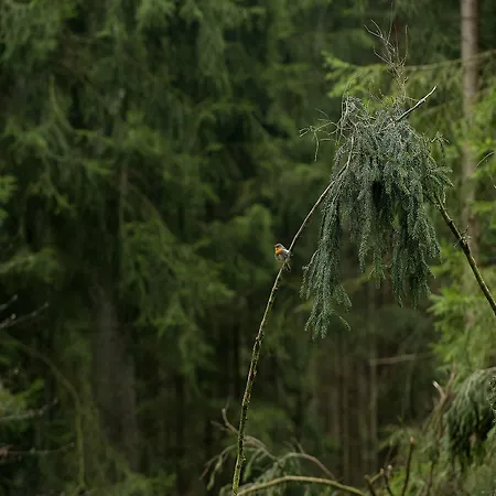 ホテル パノラマ 3*