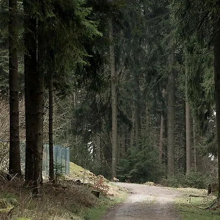 Panorama 3*