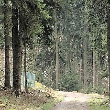 Panorama 3* Glashutten (Hessen)