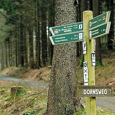 Panorama 3*
